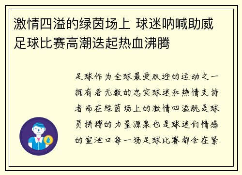 激情四溢的绿茵场上 球迷呐喊助威 足球比赛高潮迭起热血沸腾