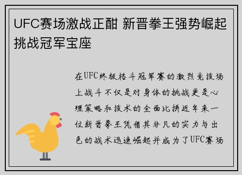 UFC赛场激战正酣 新晋拳王强势崛起挑战冠军宝座